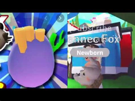 Created by rawryummya community for 1 year. New ocean eggs 🌊 i opend the vault!*meercats?* Adopt Me ...