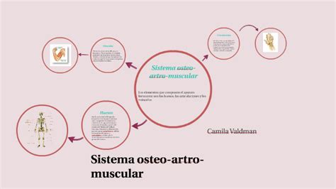 Sistema Osteo Artro Muscular By Cami Valdman On Prezi Next
