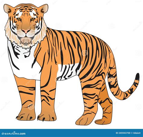 Adult Tiger And Tiger Cub Mom And Baby Animals Educational Materials