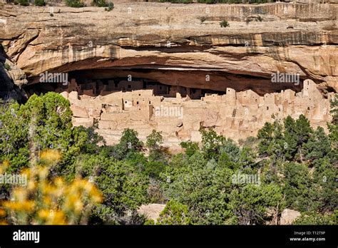 Cliff Palace Cliff Dwellings In Mesa Verde National Park Unesco World