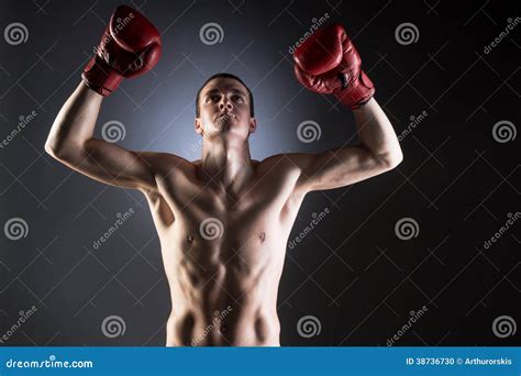 Boxing Muscular Fighter Victory Stock Photo Image Of Pretty Male