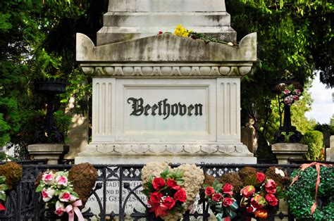 Zentralfriedhof Wien Grab An Grab
