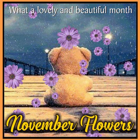 Lovely And Beautiful November Flowers Free November Flowers Ecards