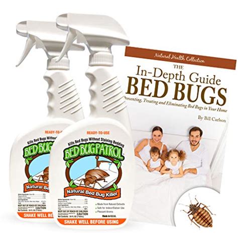 24 Tips Get Rid Of Bed Bugs In 24 Hours Besofbests