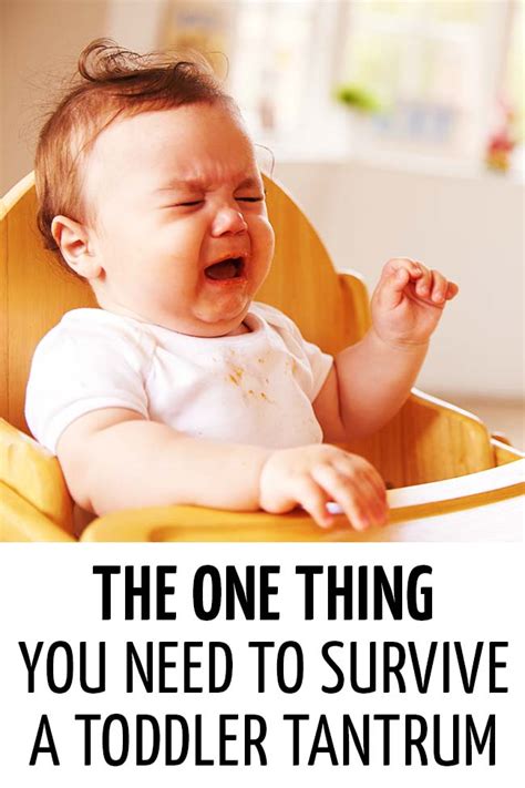 The One Thing You Need To Survive A Toddler Tantrum