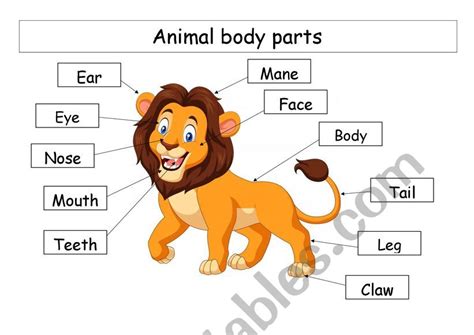 You have to match the parts of the body with animals. animal body parts - ESL worksheet by erm1