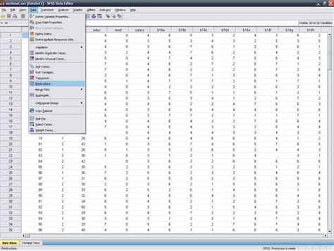 Free Download Spss 16 For Windows Xp Passaiam