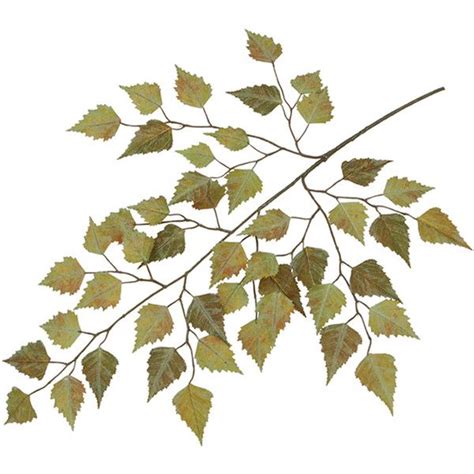 The huge fungus, huge mushroom, and chorus tree. Silk Birch Tree Branch Green Rust 27" x48 Leaves ($155 ...