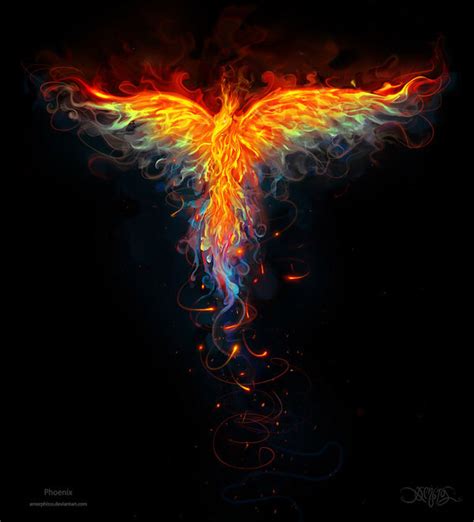 Phoenix By Amorphisss On Deviantart Phoenix Artwork Phoenix Images
