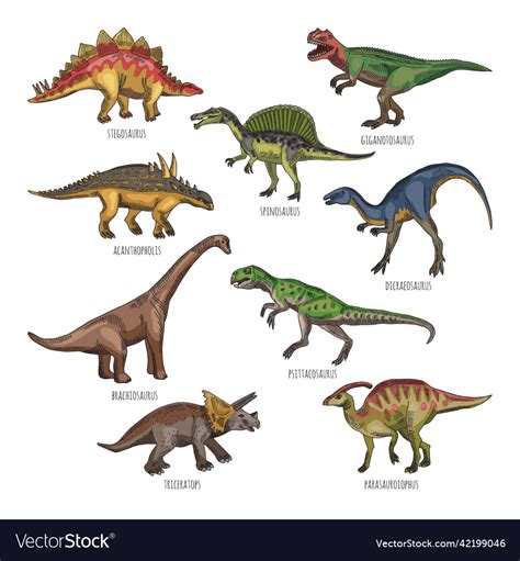 Colored Of Different Dinosaurs Types Royalty Free Vector