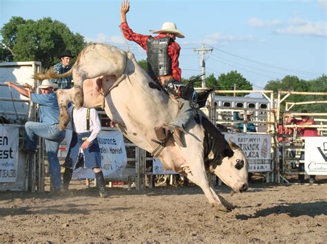 Bull Riding Dont Go To The Rodeo