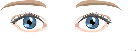 Los Ojos De Dibujos Animados Vector Eyes 1500x1500 Png Clipart