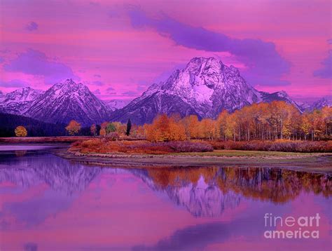 Pink Dawn Oxbow Bend In Fall Grand Tetons National Park Photograph By