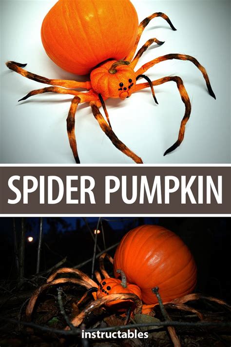Spider Pumpkin Jack O Lantern Pumpkin Creepy Pumpkin Pumpkin Spider