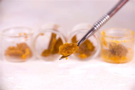 'Dabbers' of cannabis concentrate display effects similar to pot ...