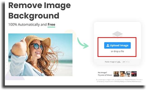 Learn How To Remove Image Background In A Single Click Apptuts