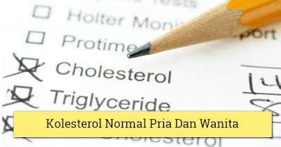 Kadar kolesterol normal wanita lebih rentan meninggi dibanding pria. Kolesterol Normal Pria Dan Wanita