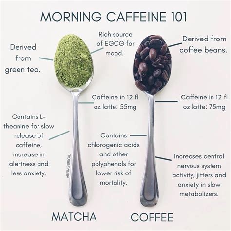 Matcha Vs Coffee Which One Is Better