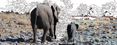 Laden sie malen nach zahlen vorlagen für erwachsene kostenlos herunter! Color Your Photo | Eigene Malen nach Zahlen Vorlagen erstellen