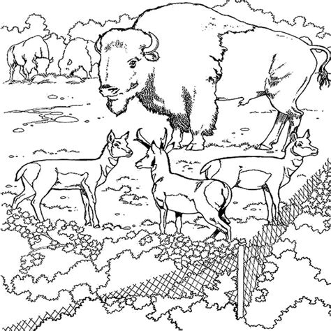 44 Dessins De Coloriage Zoo à Imprimer