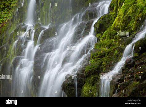 Lower Proxy Falls Along Proxy Falls Trail Three Sisters Wilderness