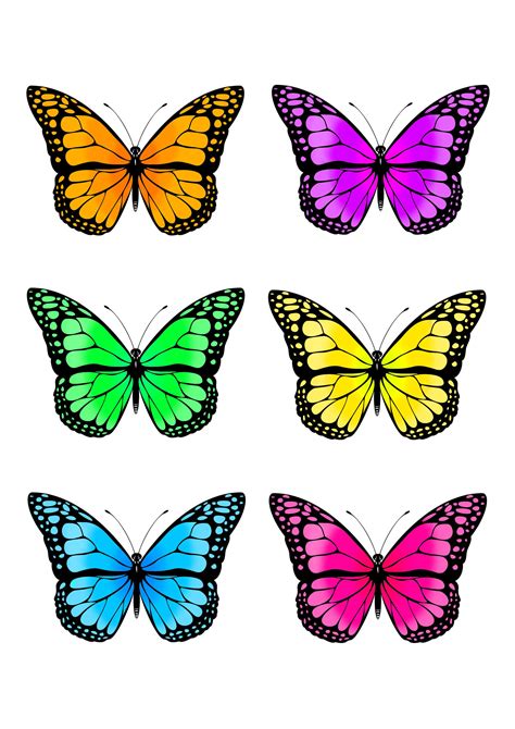 Engaging Mariposas Para Imprimir Para Decorar Tu Habitacion Papeleria