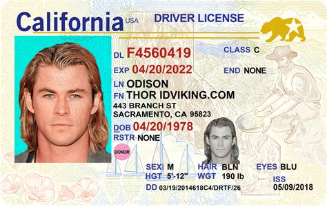 Drivers License Templates Photoshop Centricsany