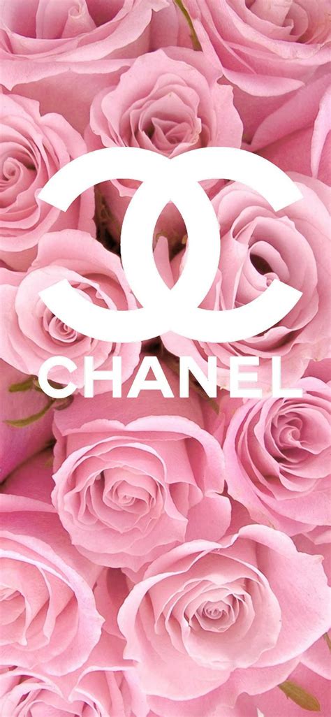 4k Chanel Wallpaper Ixpap