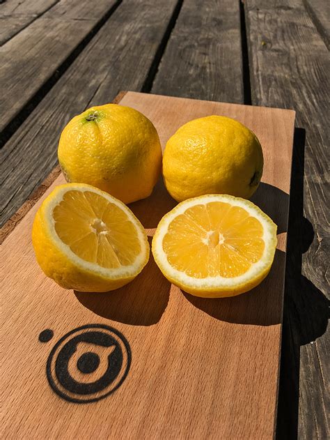 Soed Citron Leksikon Med Tips Tricks Og Opskrifter