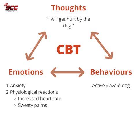 Cognitive Behavioral Therapy Cbt Types Techniques Uses 44 Off