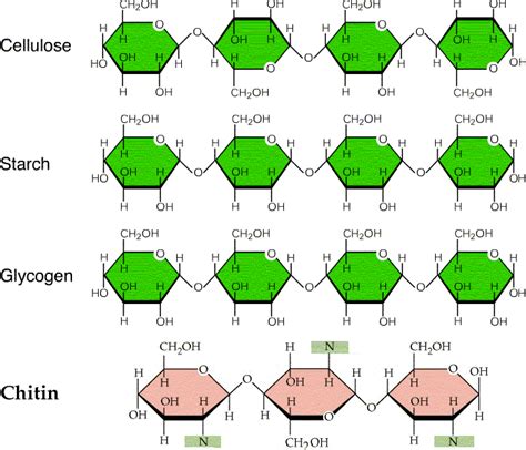 Classification Of Carbohydrates Definition Structures