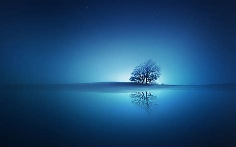 Blue Reflections Wallpapers Wallpapers Hd
