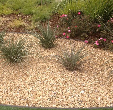 We did not find results for: California Gold Gravel 3/4" with pink shrub roses, bunch ...