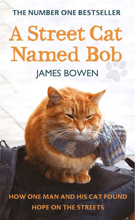 A Street Cat Named Bob By James Bowen Limelight Book