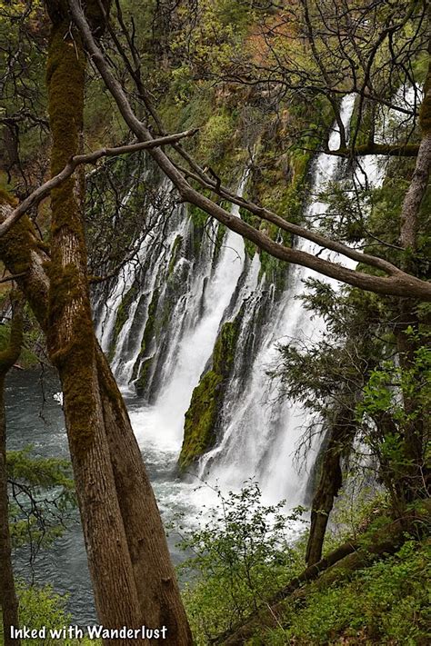 How To Hike The Burney Falls Scenic Loop Trail — Inked With Wanderlust