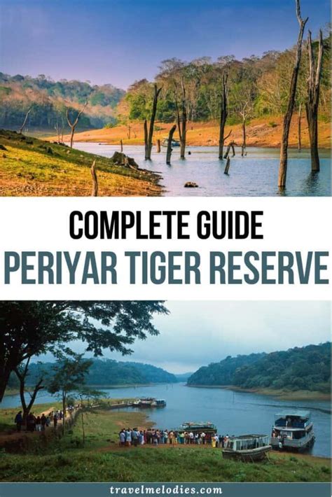 Periyar National Park Safari In Kerala Travel Guide