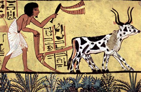 Plowing Egyptian Farmer Illustration Ancient History Encyclopedia