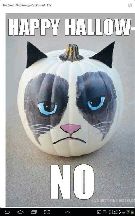 Grumpy Cat Halloween Cat Cat Pumpkin No Carve Pumpkin Decorating