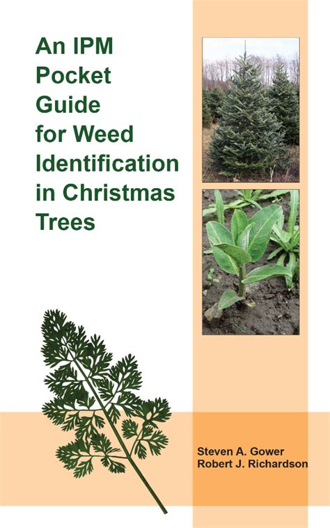 A Pocket Guide For Ipm Weed Identification In Christmas Tree Msu