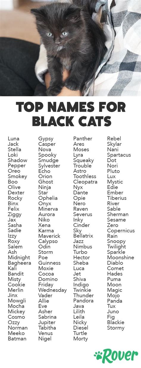 Black Cats Names Boy