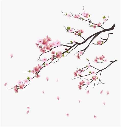 Blossom Trees, Cherry Blossom Tree, Pink Flowers ... 1281x1300 gray design background with sakura tree royalty free 500x365 drawn sakura blossom transparent.