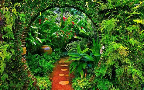 Brief Garden Sri Lanka Hd Wallpaper Small Tropical Gardens Tropical