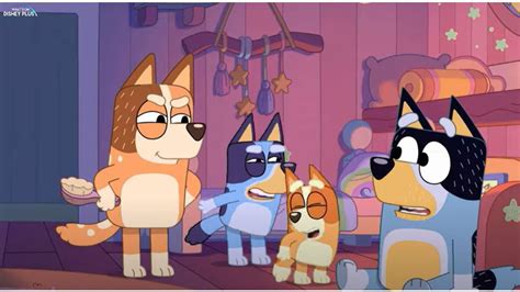 Bluey Season 3 Where To Watch And Who Are The Bluey Characters Goodto