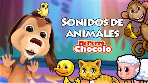 Mi Perro Chocolo Aprende Sonidos De Animales Chords Chordify