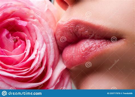 Lips With Lipstick Closeup Beautiful Woman Lips With Rose Macro With