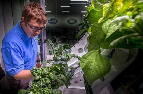 Nasa Research In Plant
