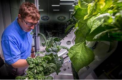 Space Nasa Plants Grow Iss Plant Station