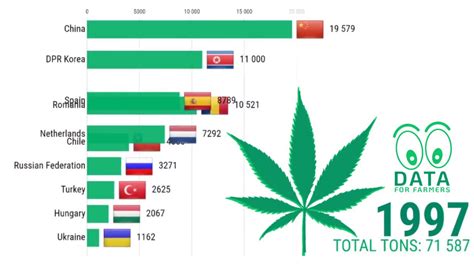 Top 10 Largest Hemp Producing Countries Worldwide 👨‍🌾 Youtube