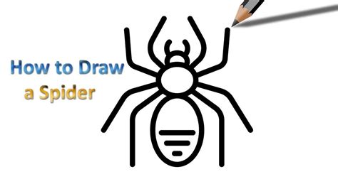 Easy How To Draw A Spider How To Draw A Spider Easy Step By Step