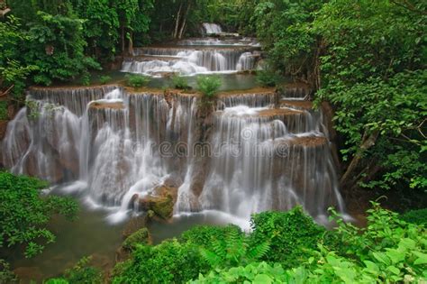 Tropical Rainforest Waterfall Stock Photo Image Of